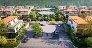 Why Wishki is great choice of Investors