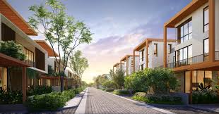 Why Wishki is great choice of Investors